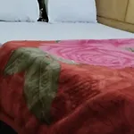 The Desert Prince