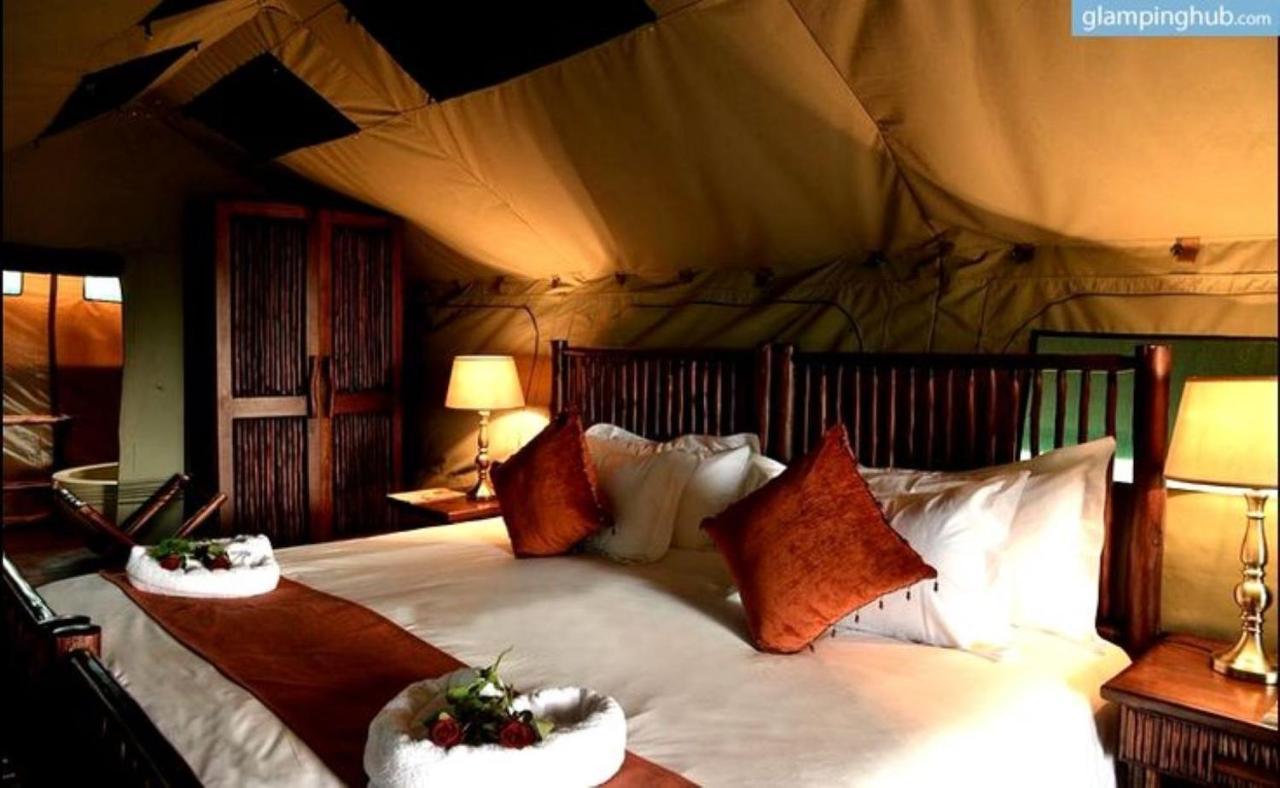 Desert Dream Royal Camp With Swimming Pool Resort 5*