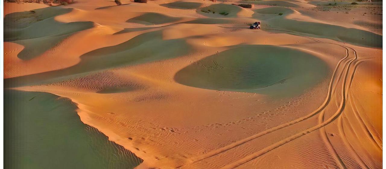 Hotel Tree National Desert Camp 4*