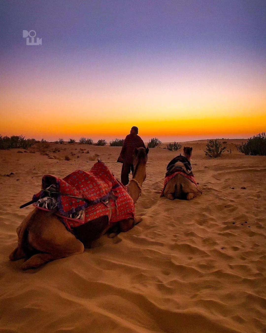 Mirvana & Camel Safari Bed & Breakfast