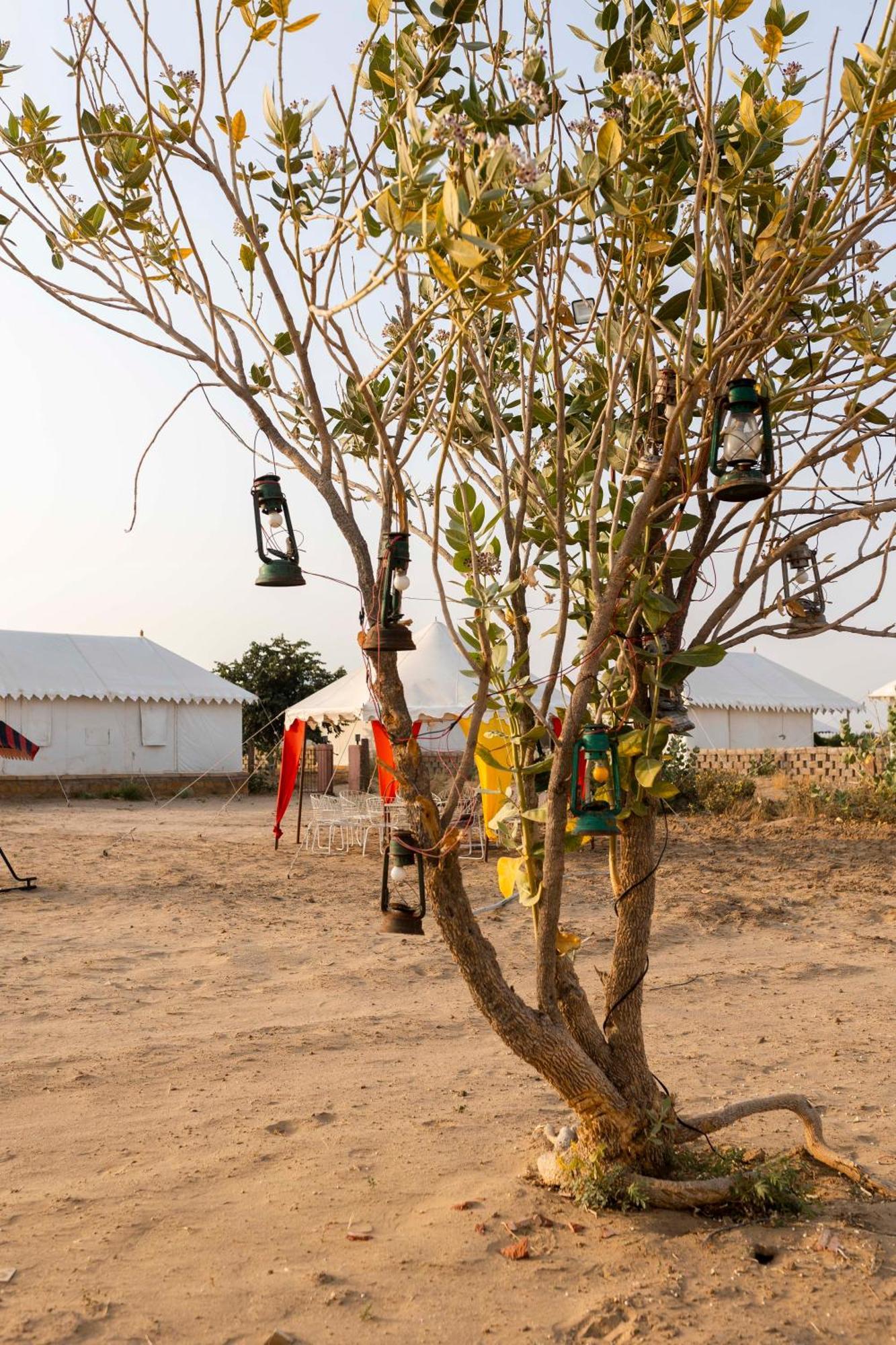 Nomads Heaven Desert Camp Hotel Jaisalmer
