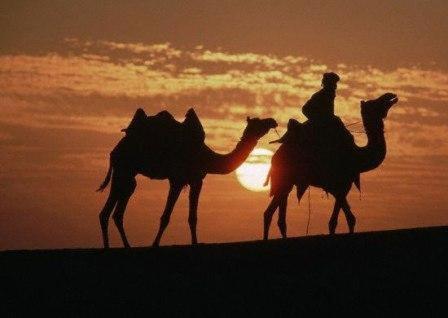 Roop Mahal Bed & Breakfast Jaisalmer