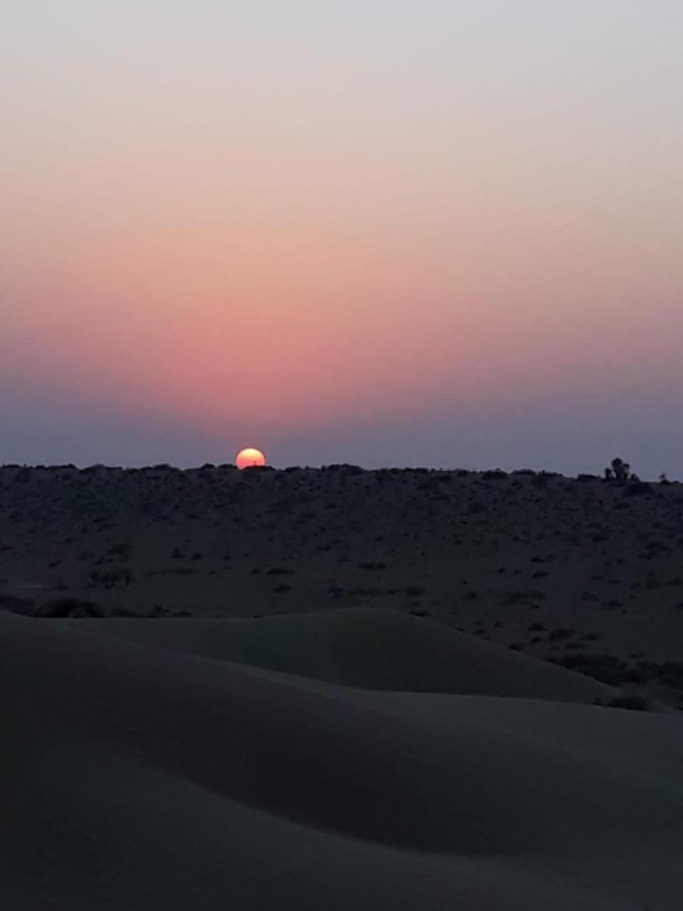 Marigold * Jaisalmer