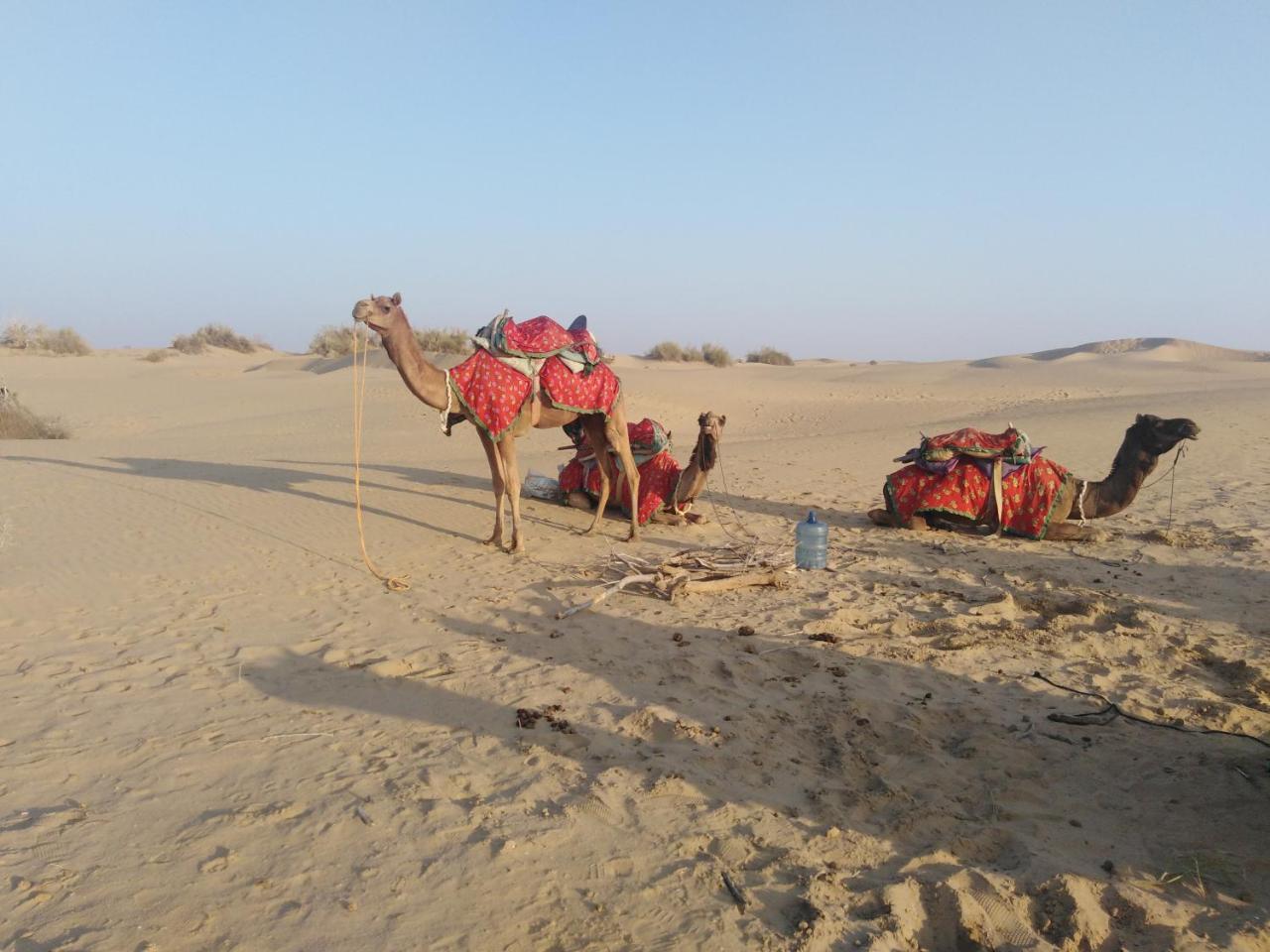 Marigold Homestay Jaisalmer