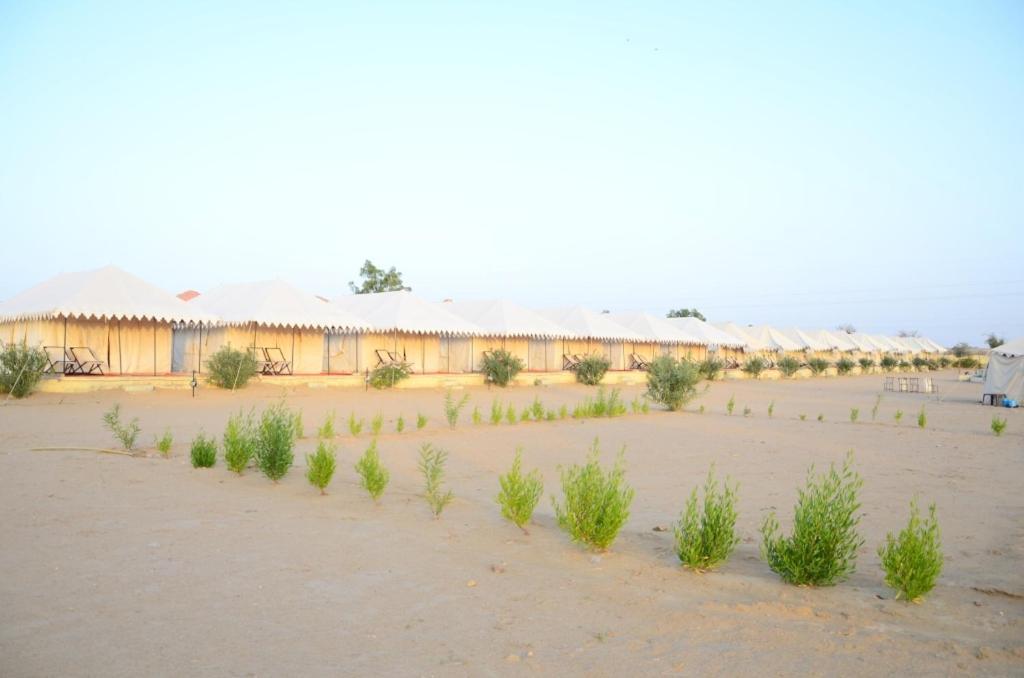 Limra Desert Camp
