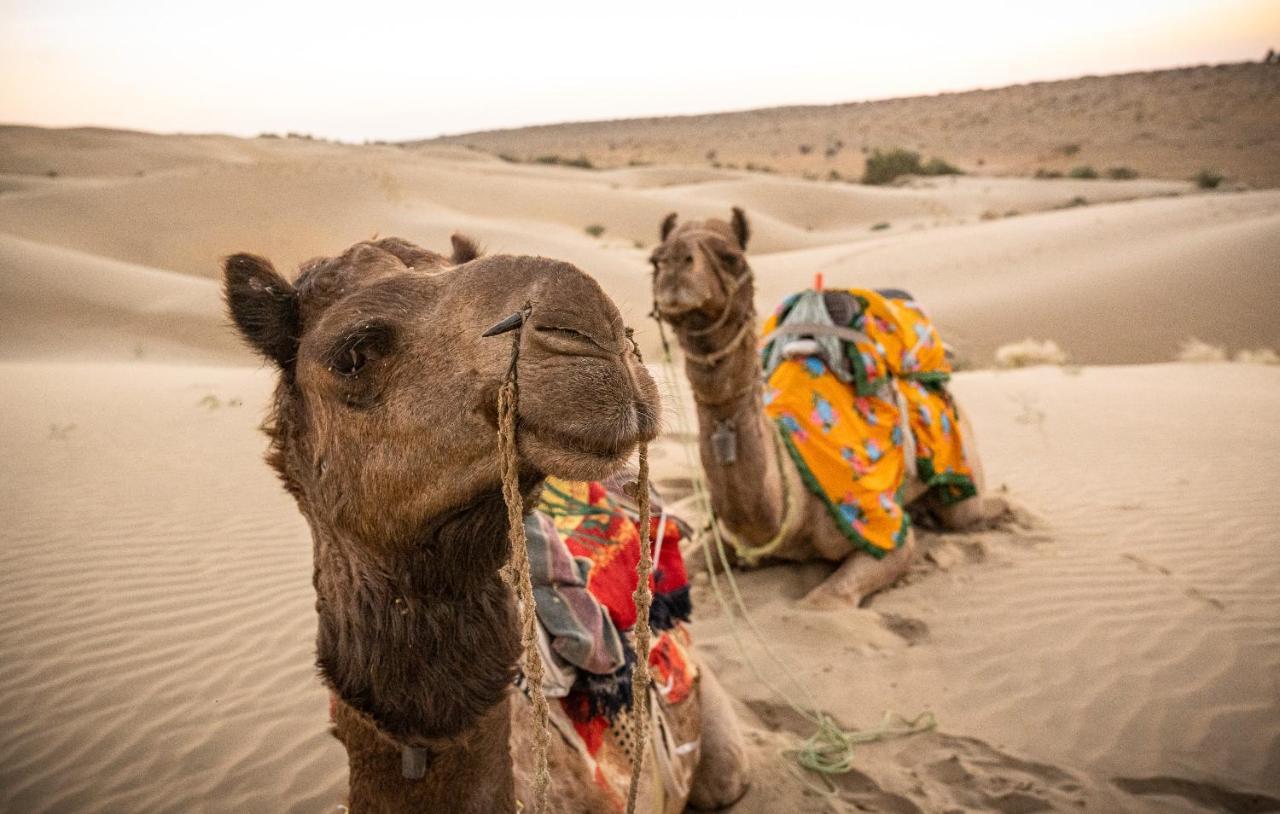 Hotel Jasmin Jaisalmer