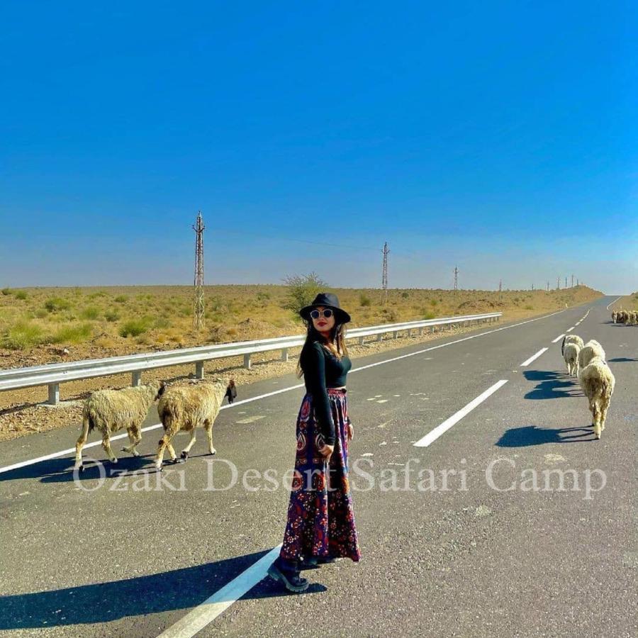 Ozaki Desert Camp & Hotel 5*
