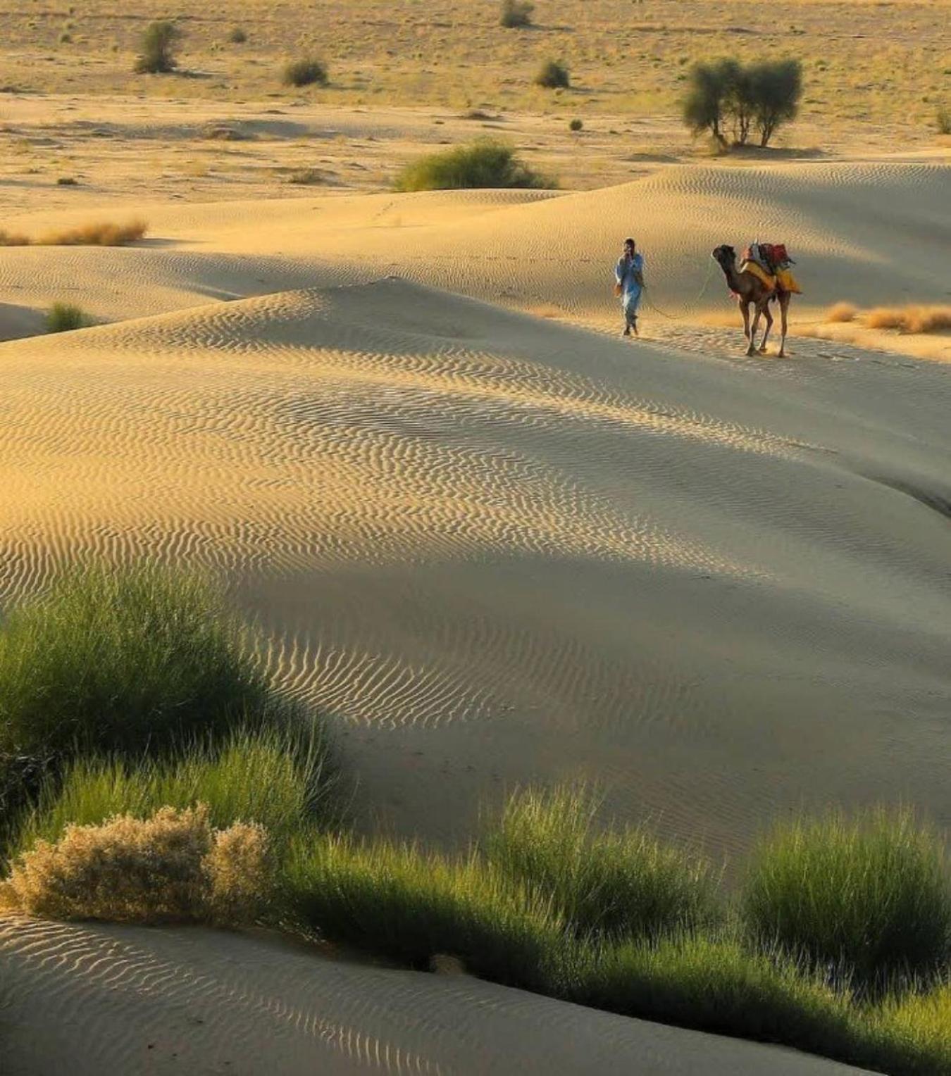 Sam Safari Camp Jaisalmer