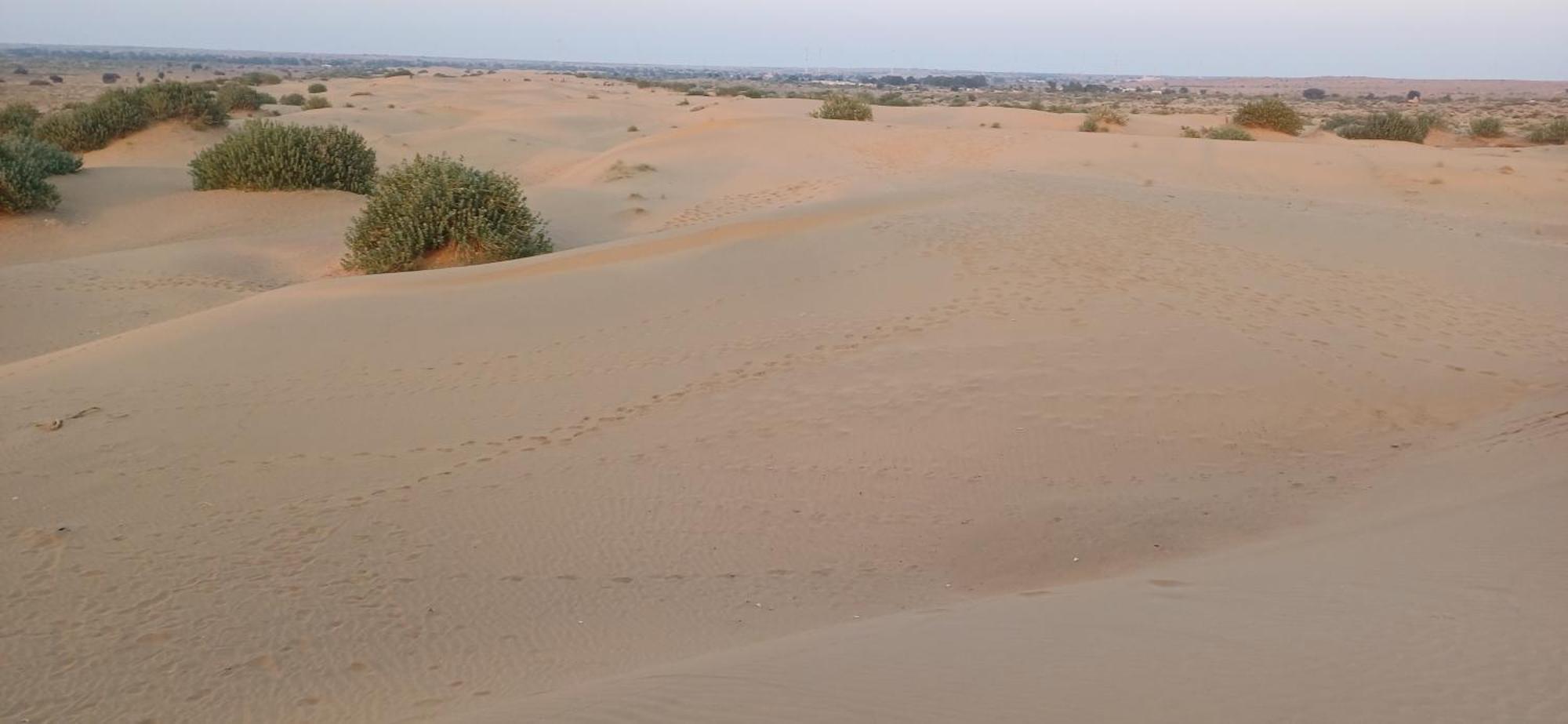 Lakhina Heritage Desert Camp