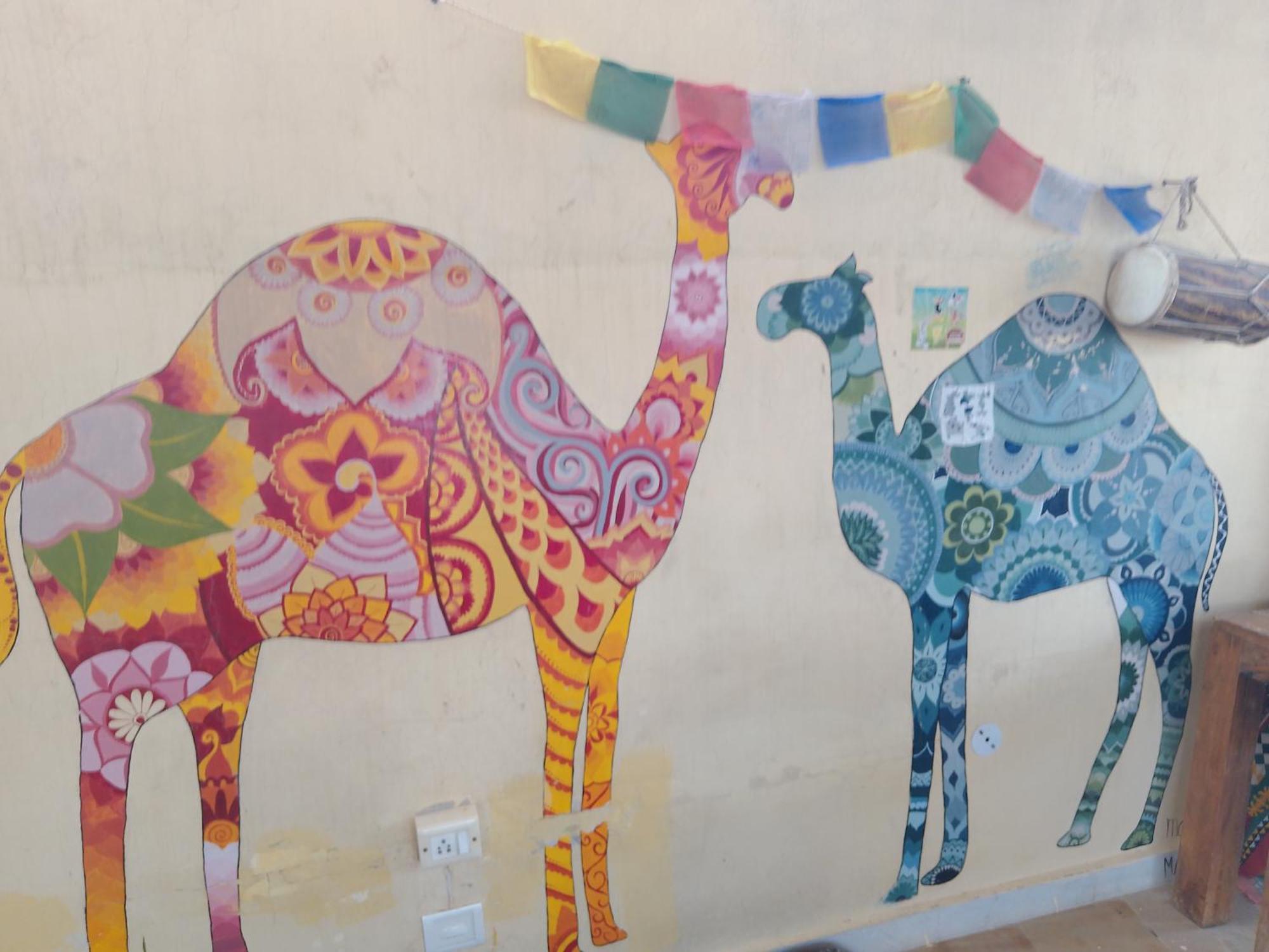 Ideal * Jaisalmer
