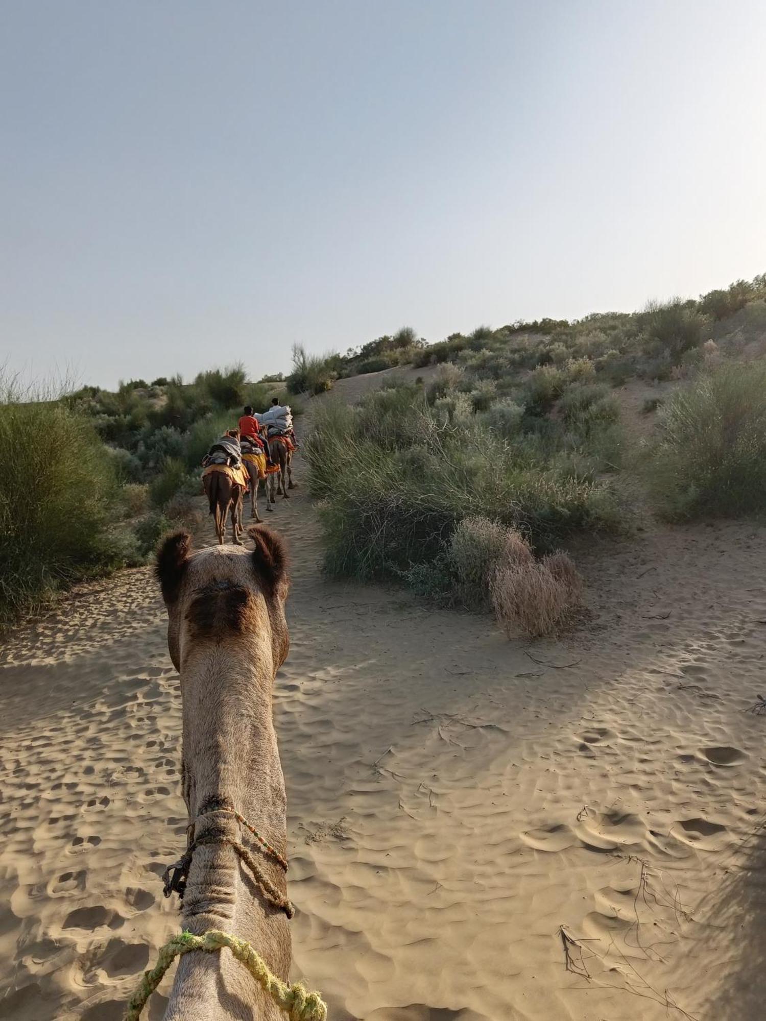 The Secret House - Adults Only Jaisalmer