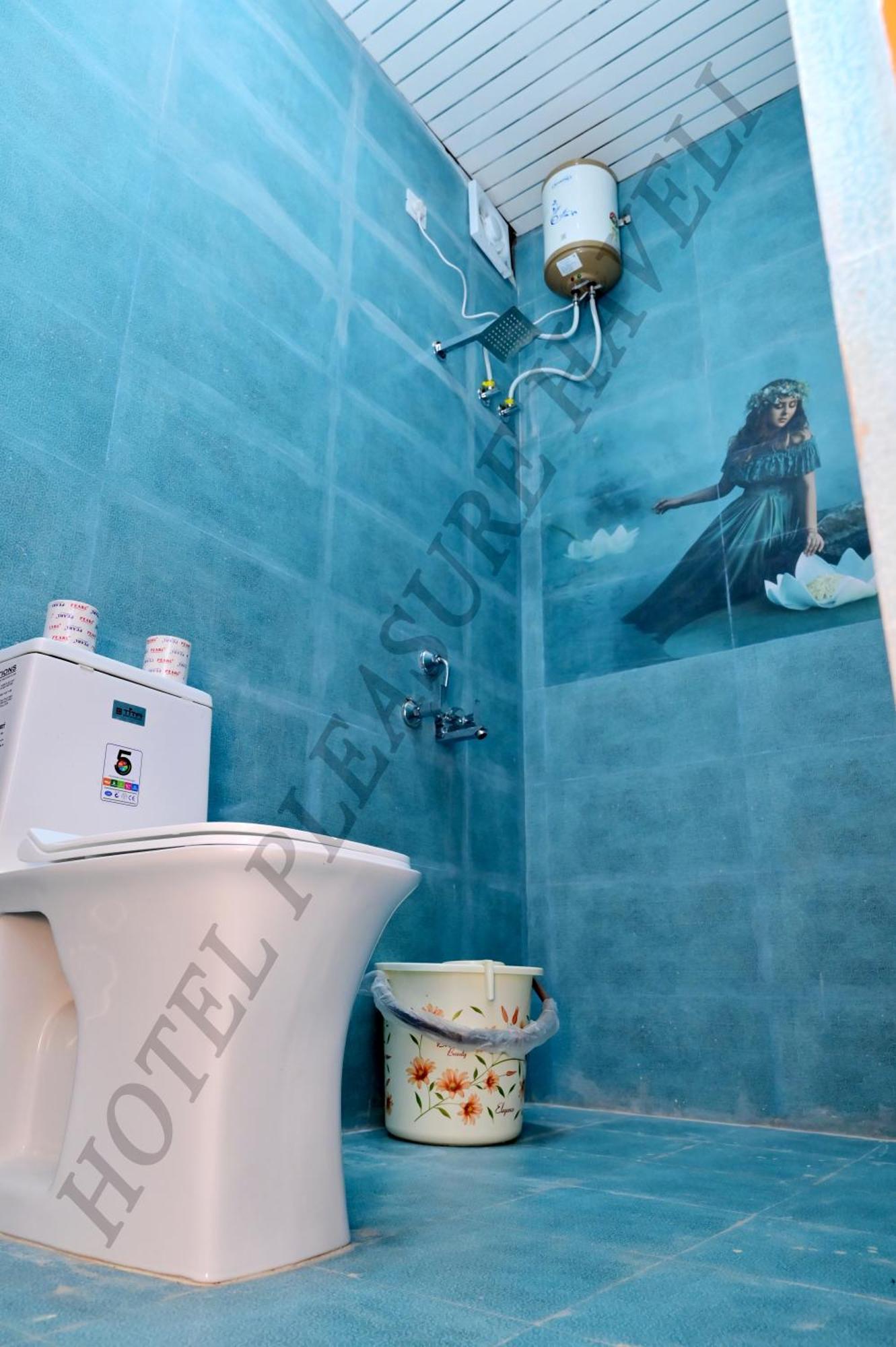 Hotel Pleasure Haveli 3*