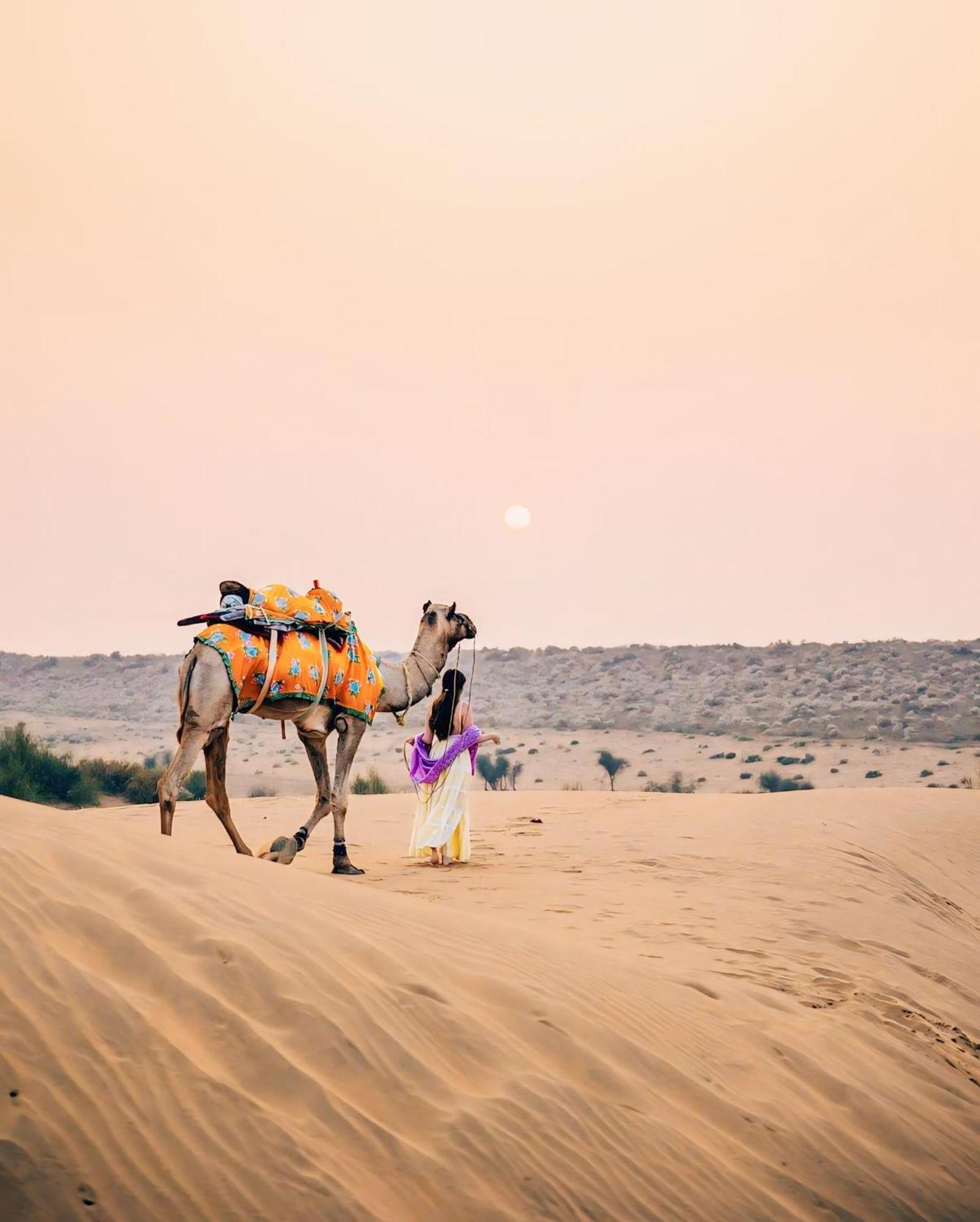 Sonar Hotel Jaisalmer