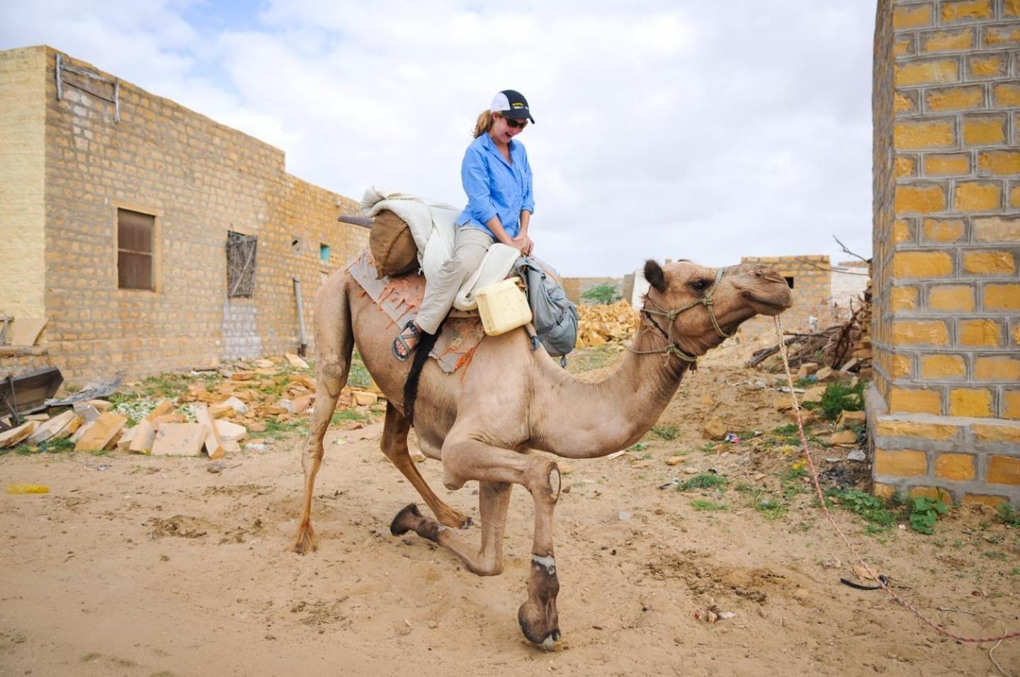 Heritage Holiday home Jaisalmer