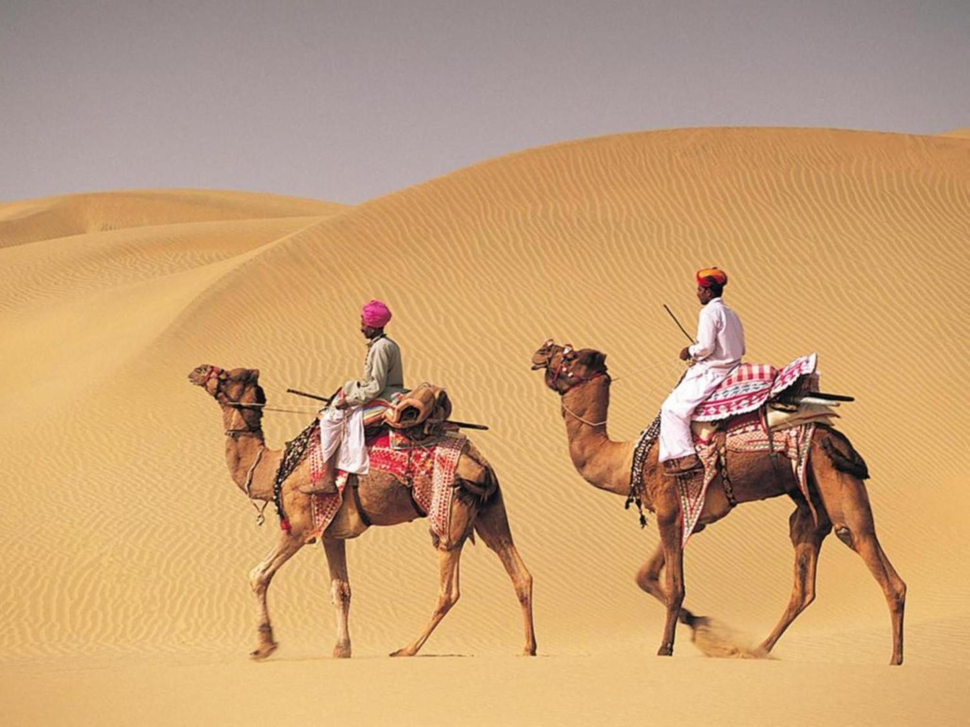 Arman Desert Luxury Camp & 5*