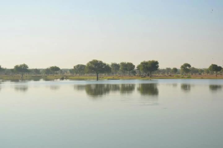 Jimmy Desert & Safari Guest house *