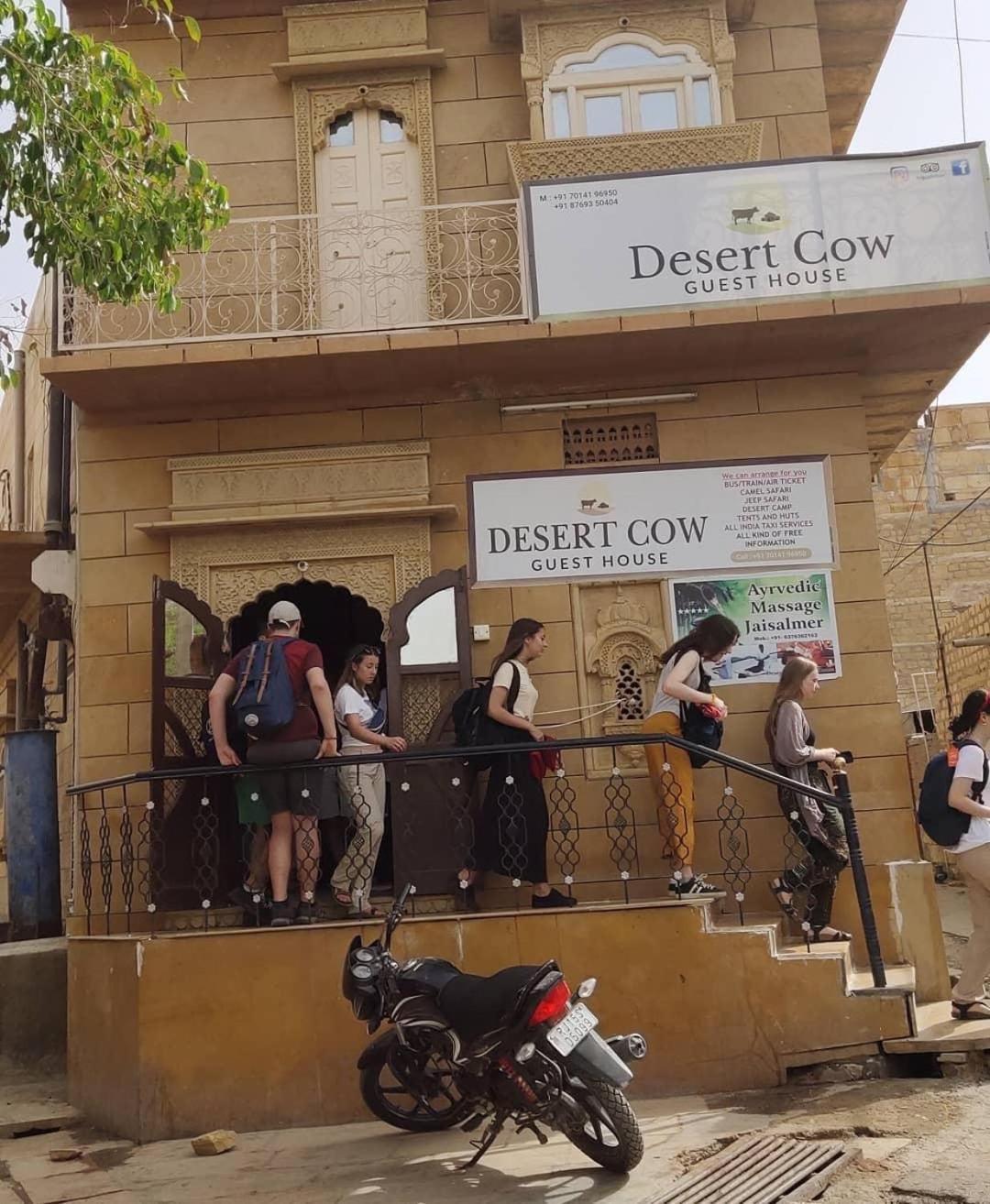 Desert Cow Hotel